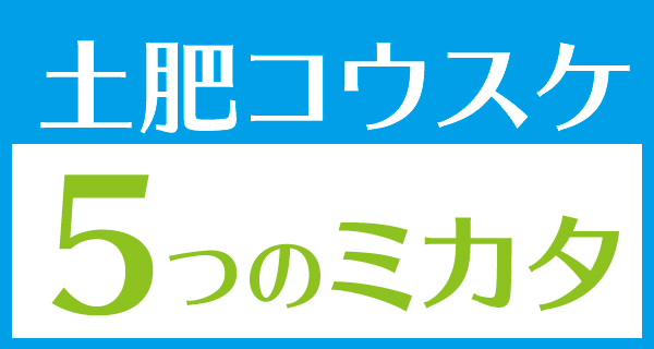 5つのミカタ